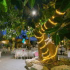 manguera led luminosa topluz amarillo