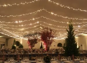 Guirnalda Led 3x4m Cálido cable blanco