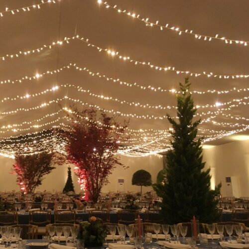 Guirnalda Led 3x4m Cálido cable blanco