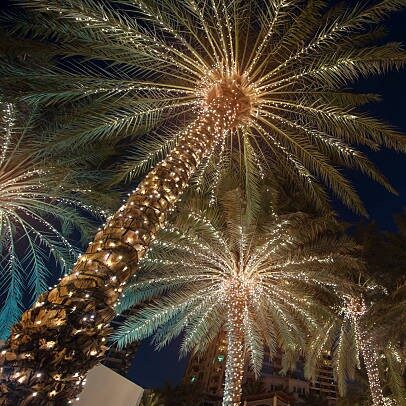 Guirnalda de luces led cálida cable verde