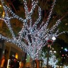 Guirnalda led blanco cable verde