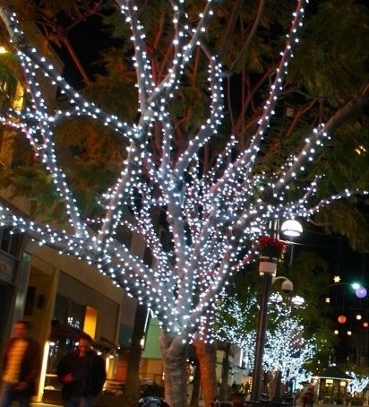 Guirnalda led blanco cable verde