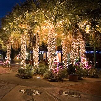 Guirnalda led cálido destellos cable verde 12m