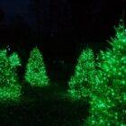 Guirnalda de luces led verde 3x4m cable verde