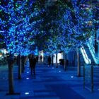 Guirnalda led azul destellos cable blanco 12M