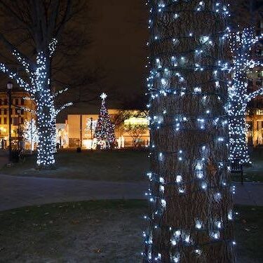 AGOTADO. Guirnalda led blanco destellos 3x4m cable negro