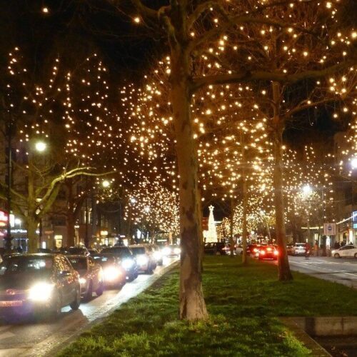 AGOTADO. Guirnalda Led Cálida 3x4m Cable Verde AGOTADO. Guirnalda Led Cálida 3x4m Cable Verde