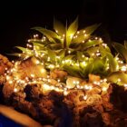 GUIRNALDA LUCES MINI BOLAS LED 5M