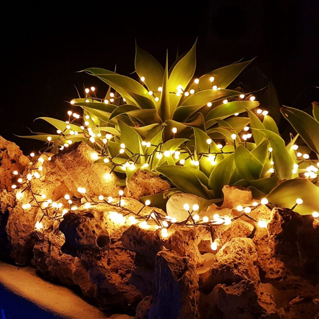 GUIRNALDA LUCES MINI BOLAS LED 5M GUIRNALDA LUCES MINI BOLAS LED 5M