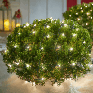 guirnaldas de luces para terrazas