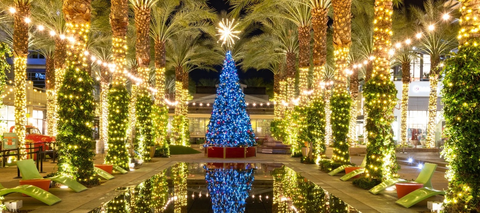 ILUMINA Y DECORA TU NAVIDAD