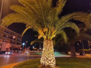 redes de luces