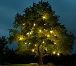 decoración luminosa arboles