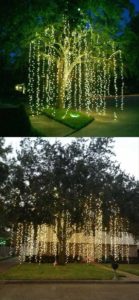 arbol con guirnaldas colgantes