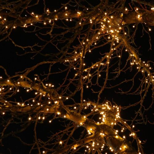 DECORACIÓN LUMINOSA ÁRBOLES NATURALES