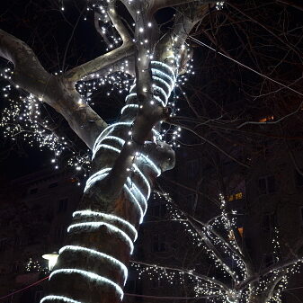 manguera de led navidad