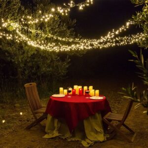 celebra san valentin todos los dias del año