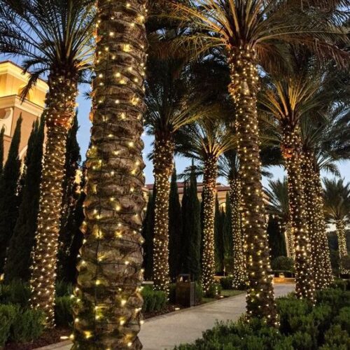 guirnalda cable verde guirnalda led calido