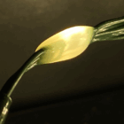 microled cable verde 500x500 topluz