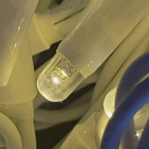 led cálido cable blanco